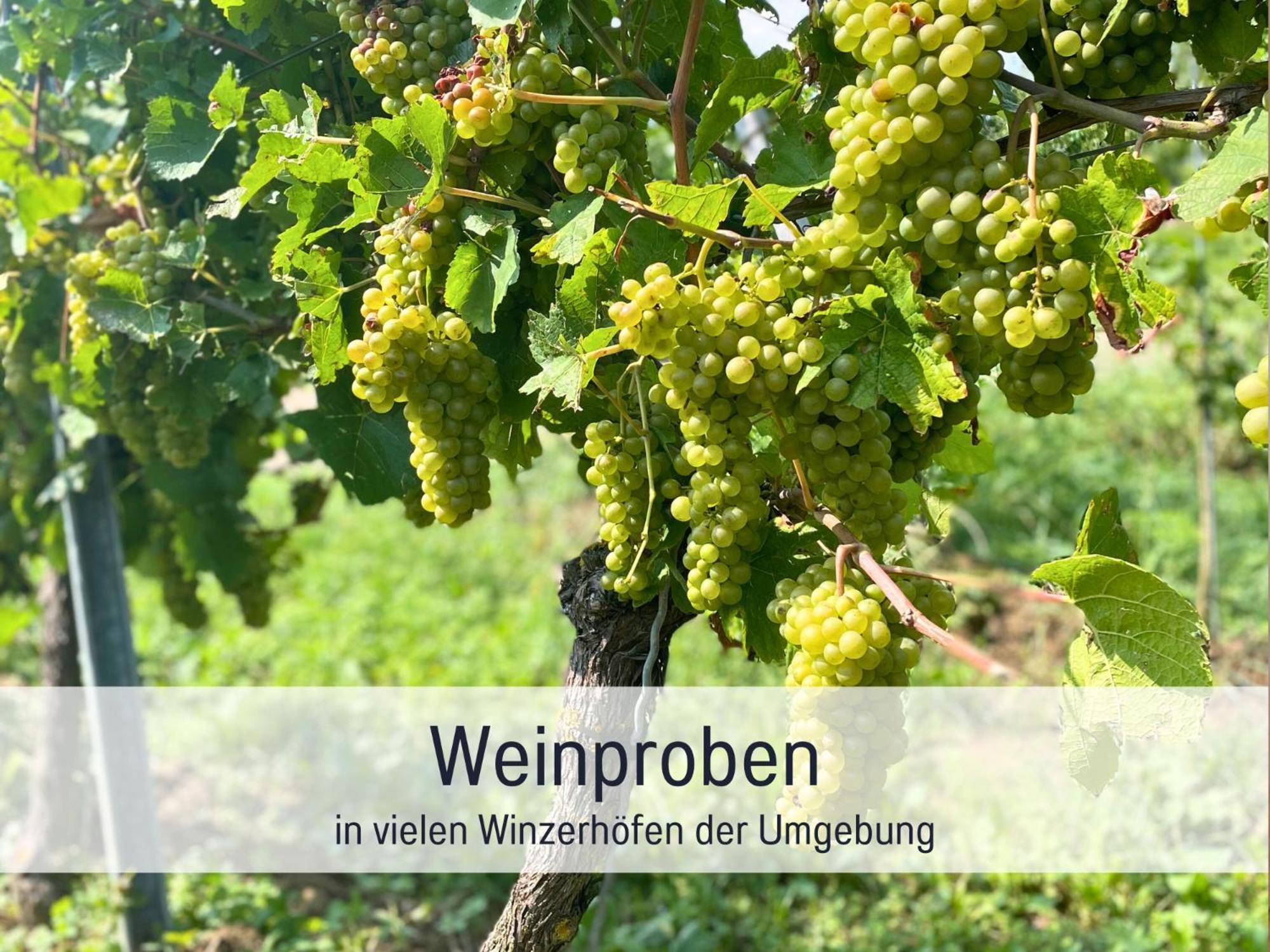 Ferienwohnungen Auszeit Langmatt Sulzburg Exteriör bild
