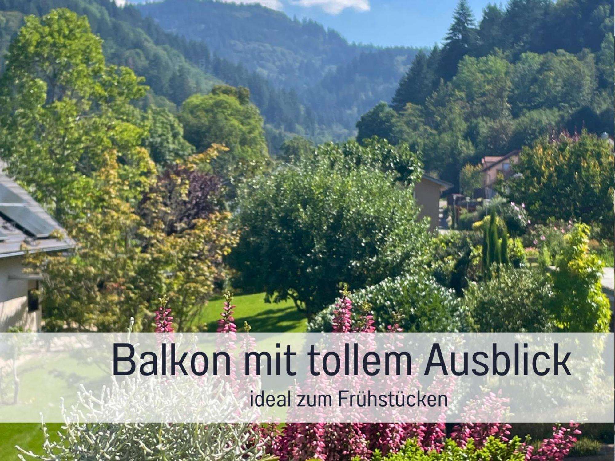 Ferienwohnungen Auszeit Langmatt Sulzburg Exteriör bild